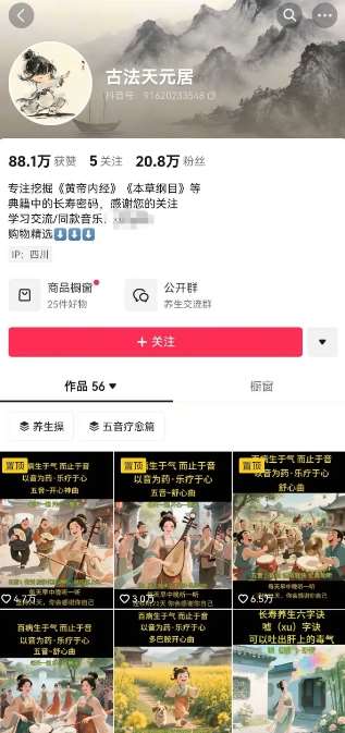 图片[2]-古法五音养生教程，五音疗愈的视频的制作方法，2-4小时就能学会，作者10天涨粉10W-领学通