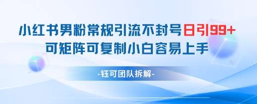 小红书男粉常规引流不封号日引99+变现简单 可矩阵可复制小白容易上手-领学通