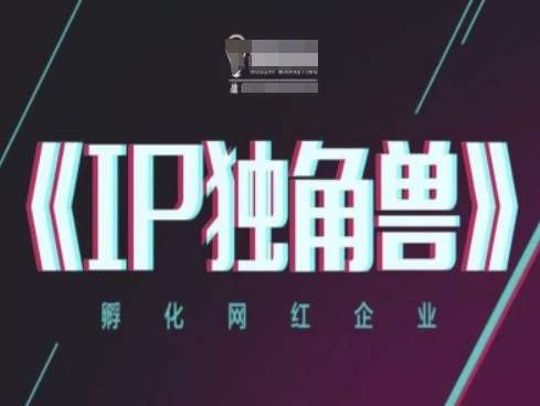 IP独角兽，孵化网红企业，ip教程-领学通