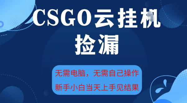 CSGO云挂G全自动捡漏,最新独家玩法,无需电脑操作,新手小白日入5张+【揭秘】-领学通