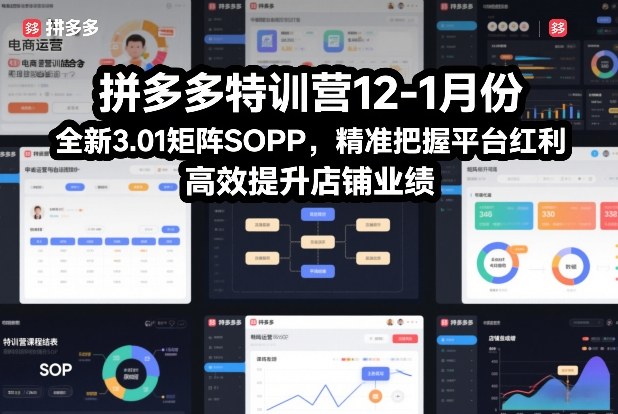 拼多多特训营12-1月份,全新3.01矩阵Sop,精准把握平台红利,高效提升店铺业绩-领学通