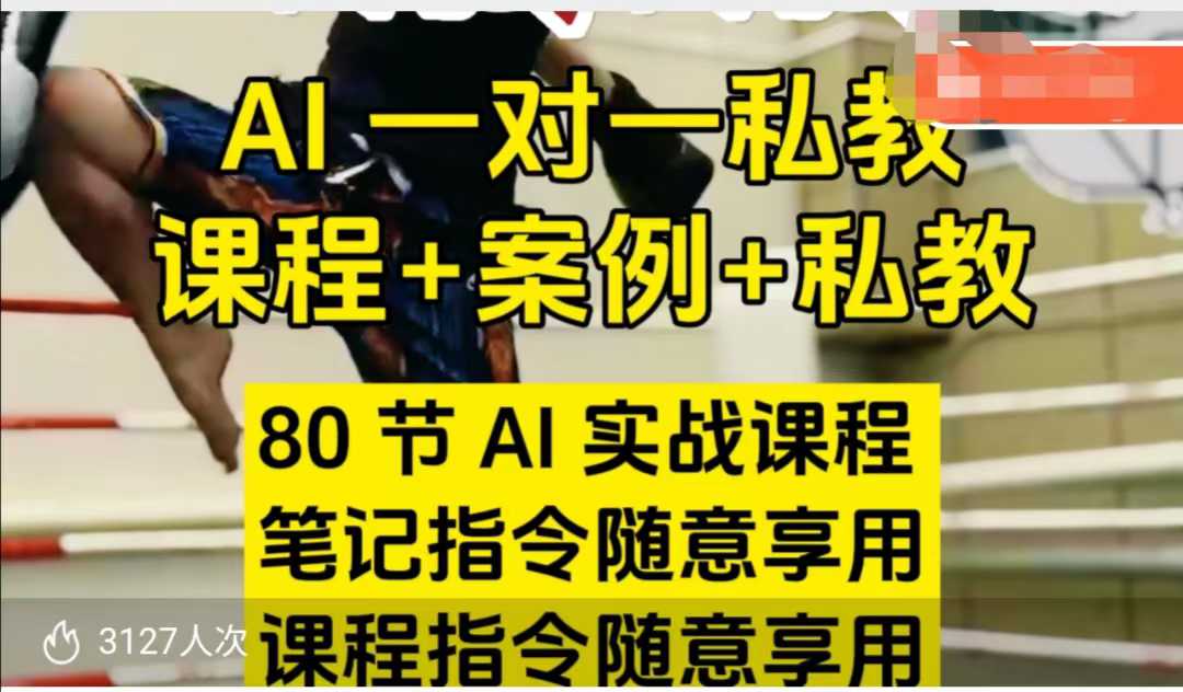 AI指令实战课，课程+案例，80节AI实战课程，笔记指令随意享用，课程指令随意享用（更新7月）-领学通