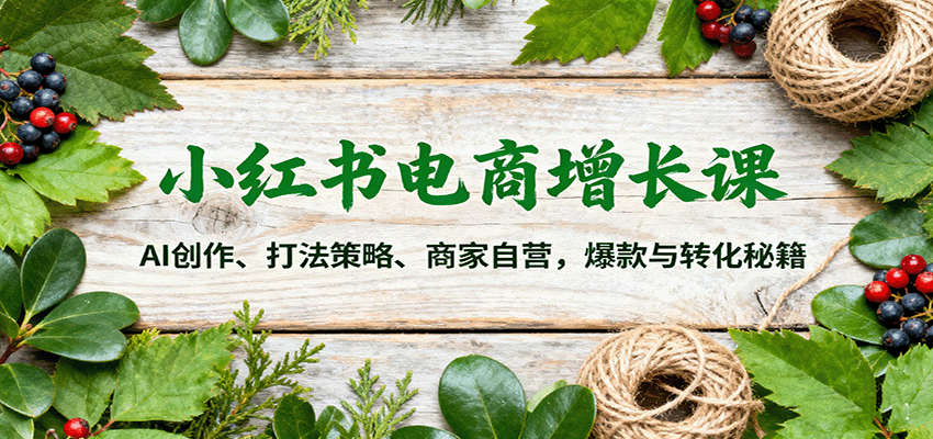 小红书电商增长课:AI创作、打法策略、商家自营,爆款与转化秘籍-领学通