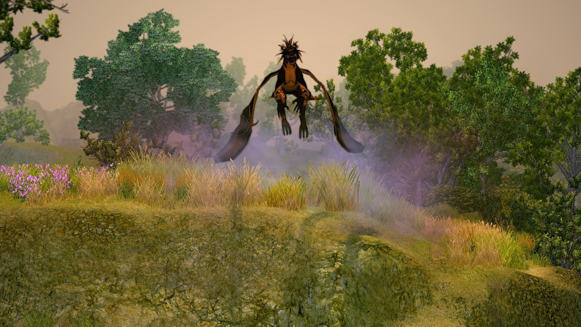 《圣域2：重制版》v1.5原版-领学通