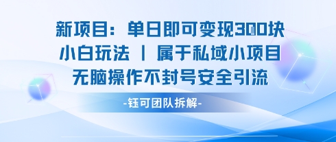 新项目单日即可变现3张的小白玩法无脑操作不封号安全引流-领学通