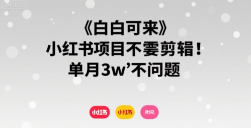 小白可来 小红书项目不需要剪辑 单月3w不是问题-领学通
