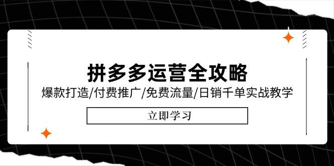 （15085期）拼多多运营全攻略，爆款打造/付费推广/免费流量/日销千单实战教学/6月更新-领学通