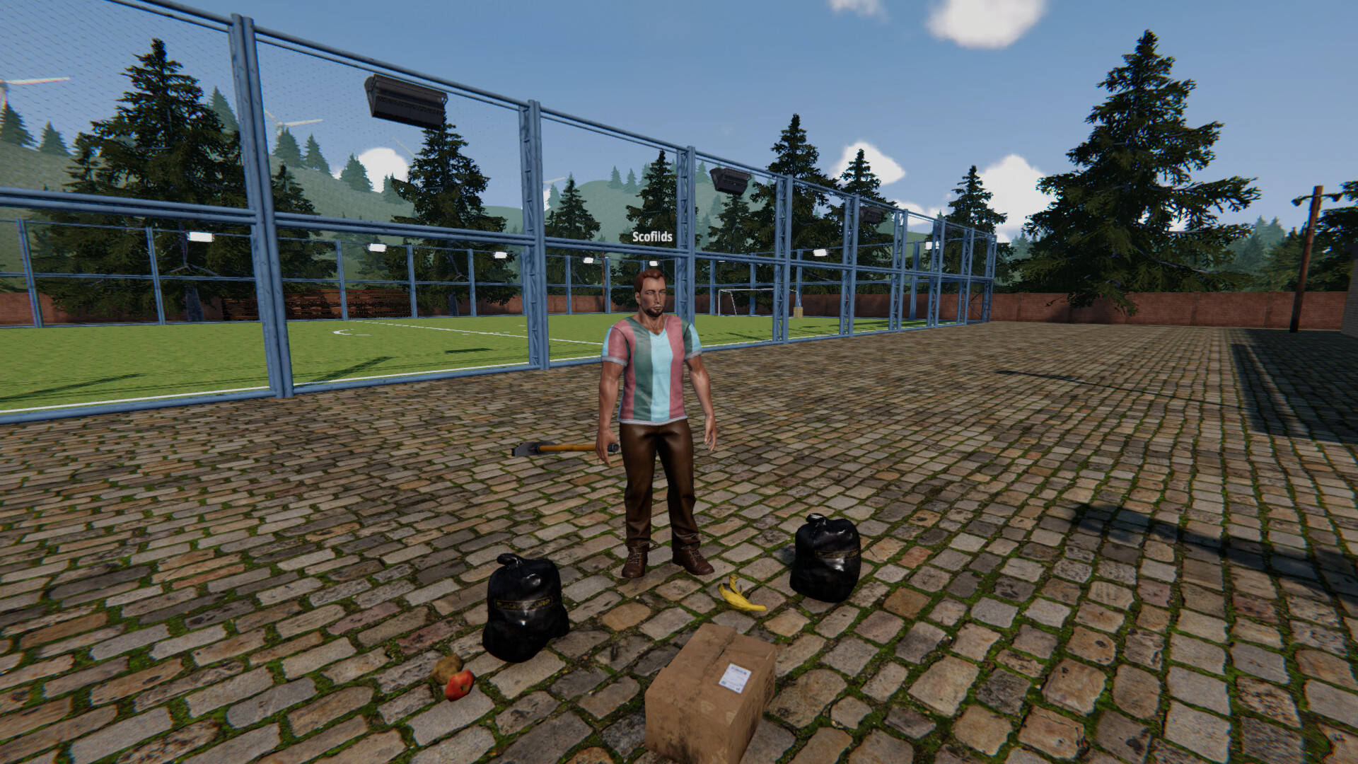 《足球场模拟器》Build.20362264 《足球场模拟器》Build.20362264