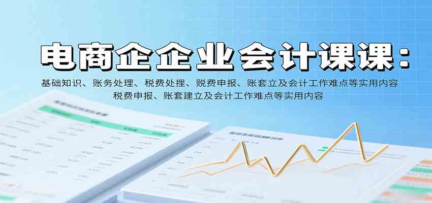 电商企业会计课：基础知识、账务处理、税费申报、账套建立及会计工作难点等实用内容-领学通