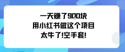 一天挣了9张用小红书做这个项目太牛了，空手套-领学通