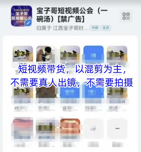 宝子哥头部团队短视频带货，以混剪为主，不需要真人出镜，不需要拍摄【更新6月】-领学通
