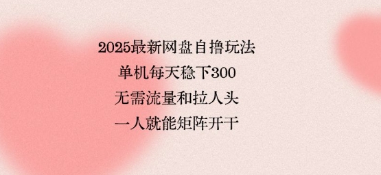 2025最新网盘自撸玩法，单机每天稳下3张，无需流量和拉人头，一个人就可轻松矩阵，全网独一份【揭秘】-领学通