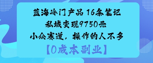 蓝海冷门产品:16条笔记私域变现9750米小众赛道,操作的人不多-领学通