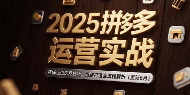 （15235期）2025拼多多运营实战：店铺定位选品技巧，爆款打造全流程解析（更新6月）-领学通