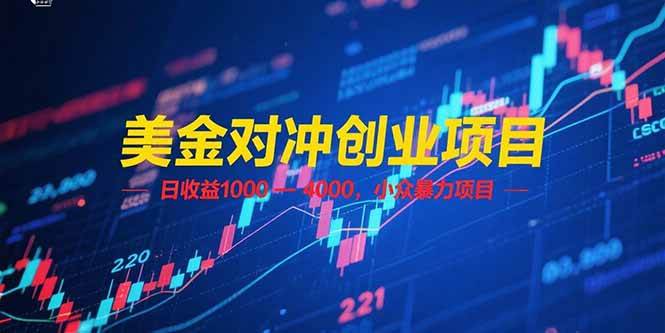 （15187期）美金对冲创业项目，日收益 1000 – 4000，小众暴力项目-领学通