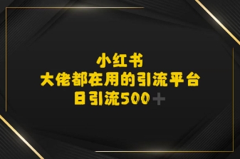 小红书，大佬都在用的大粉平台，日引流500+-领学通