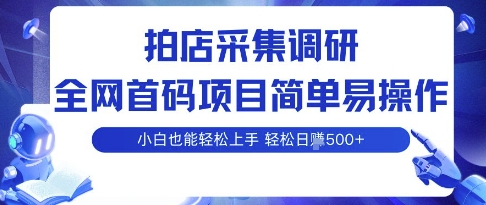 拍店采集调研，全网首码项目，简单易操作， 小白也能轻松上手，多账号操作，轻松日入5张【揭秘】-领学通