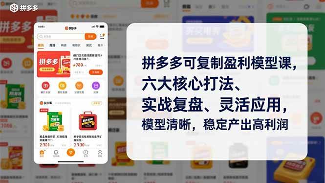 （16952期）拼多多可复制盈利模型课，六大核心打法、实战复盘、灵活应用，模型清晰，稳定产出高利润-领学通