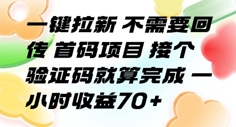 一键拉新 不需要回传 首码项目 接个验证码就算完成 一小时收益70+【揭秘】-领学通