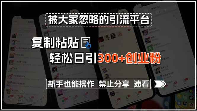 （15428期）被大家忽略的引流平台，复制粘贴轻松日引300+创业粉，新手也能操作，禁…-领学通