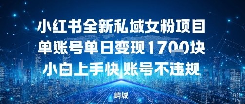 小红书全新私域女粉项目单账号单日变现多张，小白上手快账号不违规建议准备多账号操作-领学通