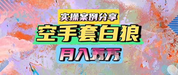 空手套白狼，月入过1W，实操案例分享-领学通