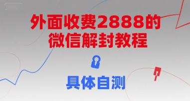 （15301期）外面收费2888的微信解封教程，具体自测-领学通