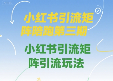 小红书引流矩阵陪跑第三期，小红书引流矩阵引流玩法-领学通