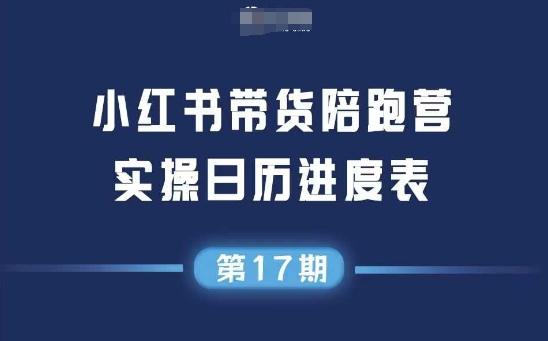 小红书第17期带货陪跑营，不囤货，无不直播，无不投流，通过选品+笔记内容+测品+笔记铺量+矩阵运营打爆款-领学通