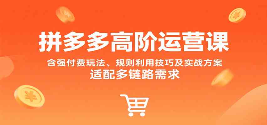 拼多多高阶运营课，含强付费玩法、规则利用技巧及实战方案，适配多链路需求-领学通