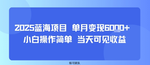 2025蓝海项目 单月变现6k+ 小白操作简单 当天可见收益-领学通