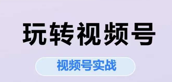 玩转视频号，视频号实战系列课-领学通