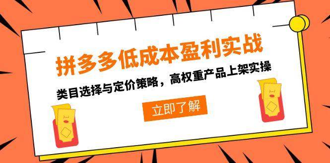 （15143期）拼多多低成本盈利实战，类目选择与定价策略，高权重产品上架实操-领学通