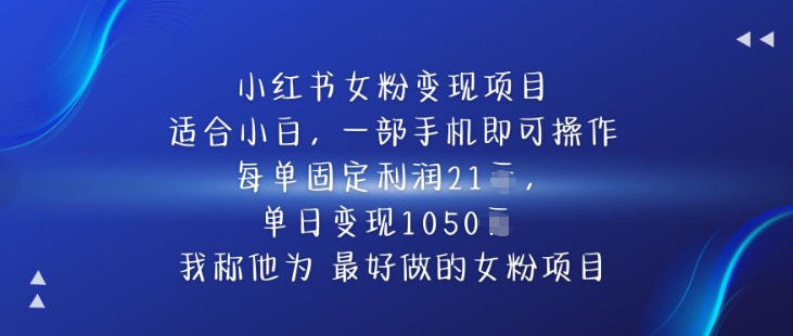 小红书女粉变现项目,单日变现1k+,最好做的女粉项目-领学通