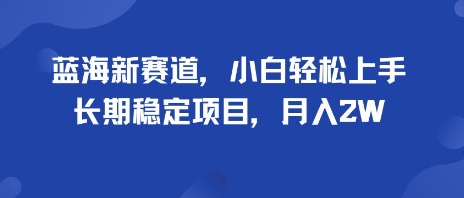蓝海新赛道，小白轻松上手，长期稳定项目，月入2W-领学通