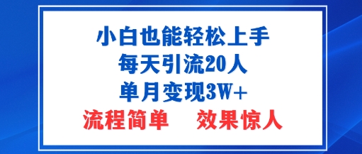 小白也能轻松上手的宝妈项目，每天引流20人，单月变现3W+，流程简单，效果惊人-领学通