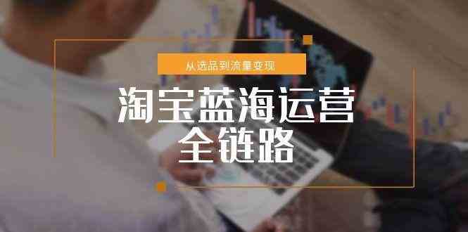 淘宝蓝海运营全链路，从选品到流量变现，小类目突围完整方案-领学通