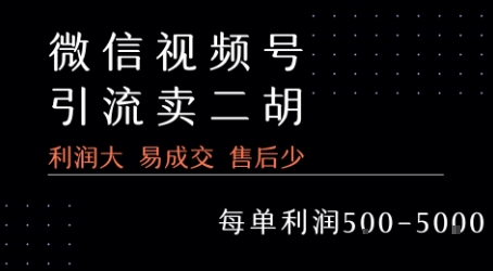 视频号卖二胡教程，利润大 易成交 售后少，一单利润5张+-领学通