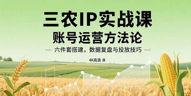 （15864期）三农IP实战课：账号运营方法论，六件套搭建，数据复盘与投放技巧-领学通