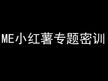 ME小红薯专题密训-小红书电商教程-领学通