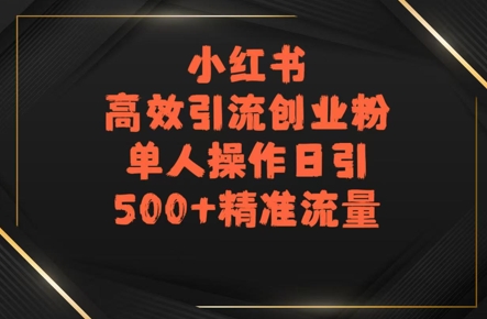 小红书高效引流创业粉，单人操作日引500+精准流量-领学通