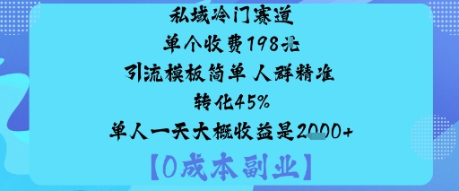 私域冷门赛道:单个收费198米引流模板简单人群精准转化45%单人一天大概收益是1k+-领学通