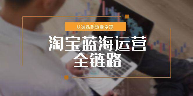 （15160期）淘宝蓝海运营全链路，从选品到流量变现，小类目突围完整方案-领学通