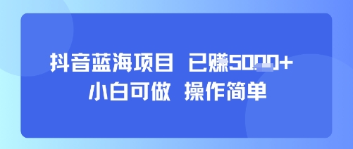 抖音蓝海项目，小白可做，操作简单，可批量制作，已挣5k+-领学通