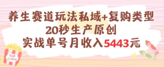 养生赛道玩法私域+复购类型，20秒生产原创实战单号月收入5k+-领学通