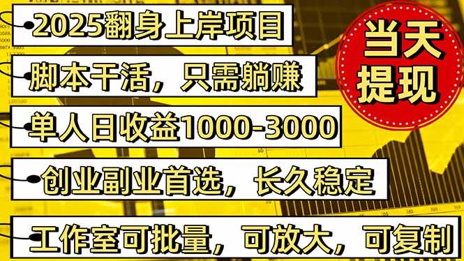 （16501期）2025翻身上岸项目脚本干活，内部客户经理内部开号，单人日收益1000-300…-领学通