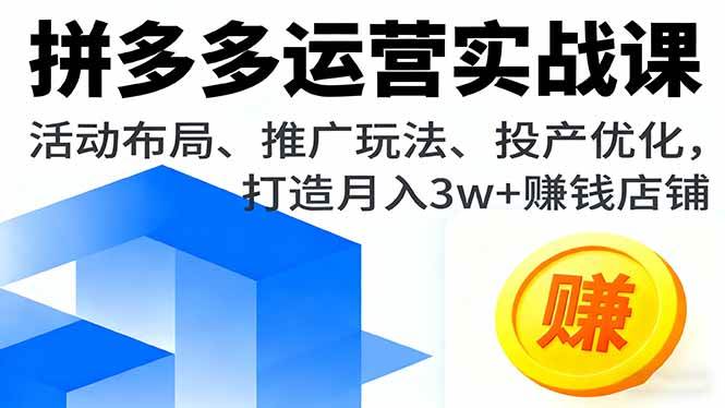 （16135期）拼多多运营实战课，活动布局、推广玩法、投产优化，打造月入3w+赚钱店铺-领学通