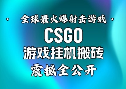 【年底大揭秘】基于全球最火爆的射击CSGO游戏挂G搬砖,日入5张+,震撼公开-领学通