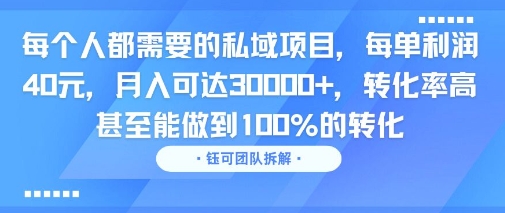 每个人都需要的私域项目，每单利润40米，月入可达3W+，转化率高 甚至能做到100%的转化-领学通