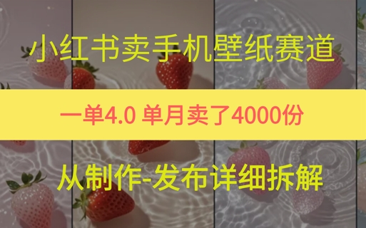 小红薯手机壁纸变现，4块钱一张的图，单月卖了5000份-领学通